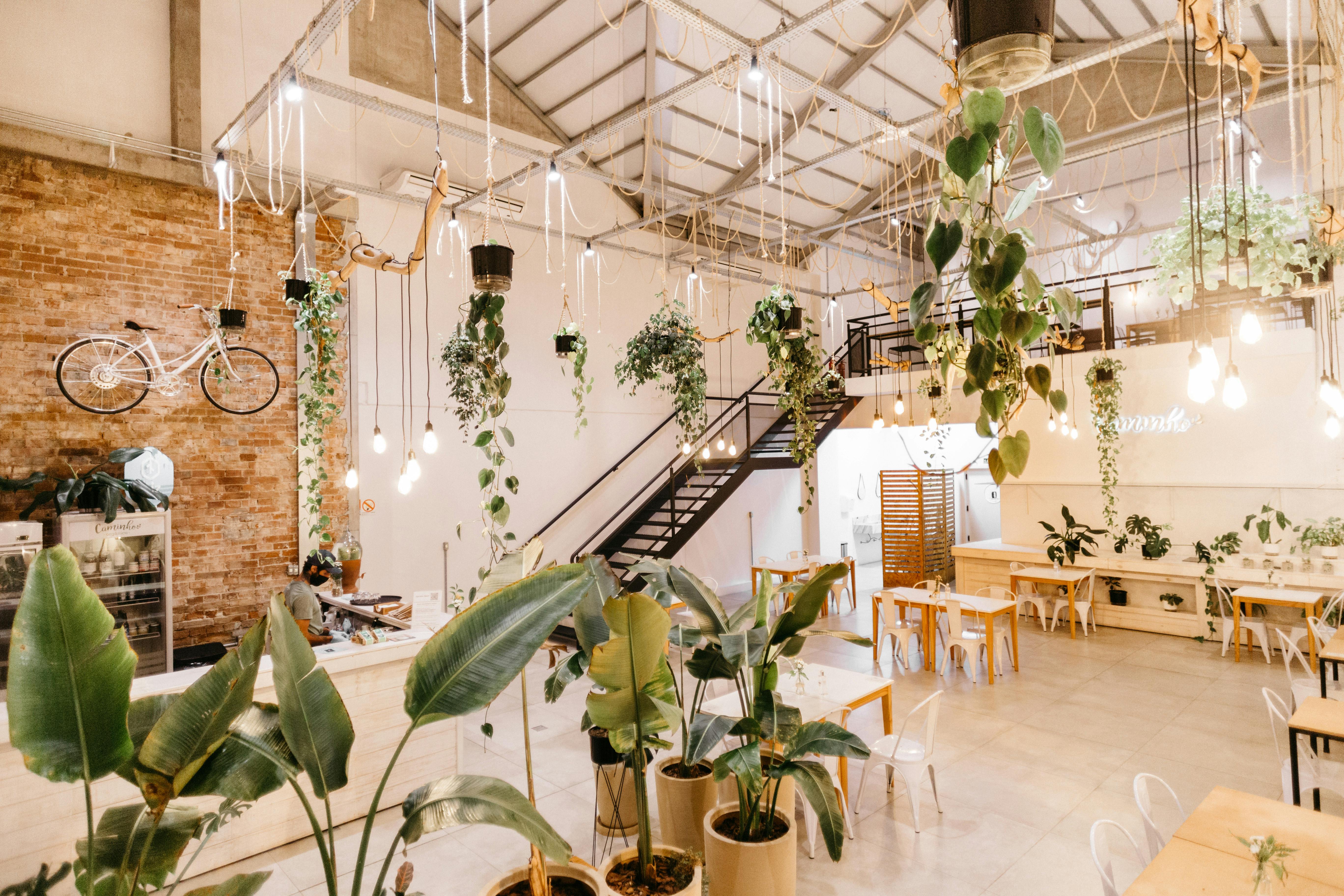 restaurang dekorerad med växter